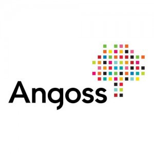 Angoss_TwitterLogo