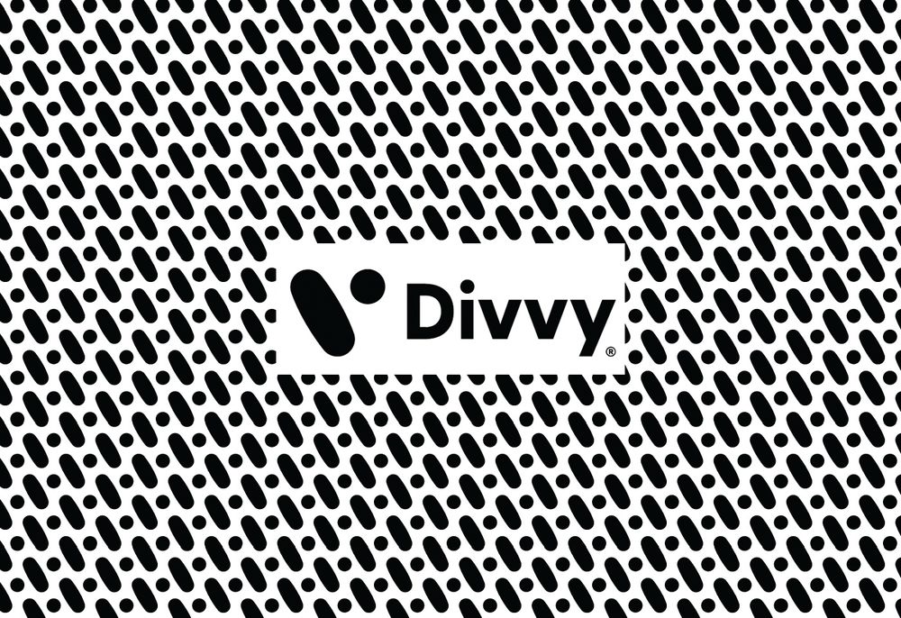 From Cool to Classic: Designing the Divvy Brand