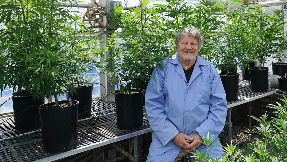 Dr. Bruce Bugbee: Utah's Cannabis King