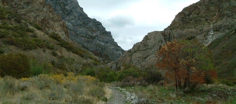 Provo’s #WhatsNext Announcement: City to Purchase Rock Canyon for More Than $1 Million