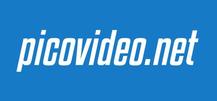 Let Picovideo Explain What It Is Exactly That You Do