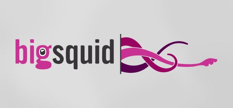 Big Squid Is Focused On Giving Executives The Predictive Analytics They Need