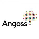 Peterson Partners acquires Angoss Software for $8.4 Million