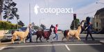 Cotopaxi Raises $6.5M Series A Round…Let the Questivals Begin!
