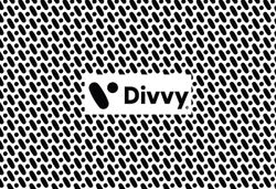 From Cool to Classic: Designing the Divvy Brand